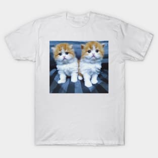 The twin cute cats T-Shirt